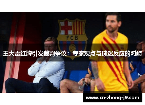 王大雷红牌引发裁判争议：专家观点与球迷反应的对峙